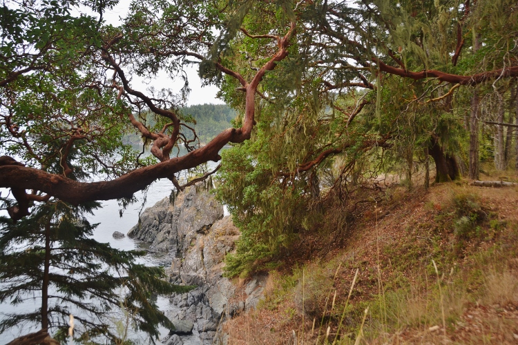 Creyke Trail, East Sooke Regional Park